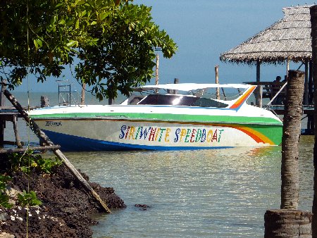 เรือสปีดโบ๊ทที่สามารถจุได้ถึง 30 ท่าน